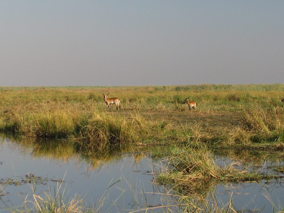 June 21-23: Linyanti Marsh - Overland Travel With KMcGee