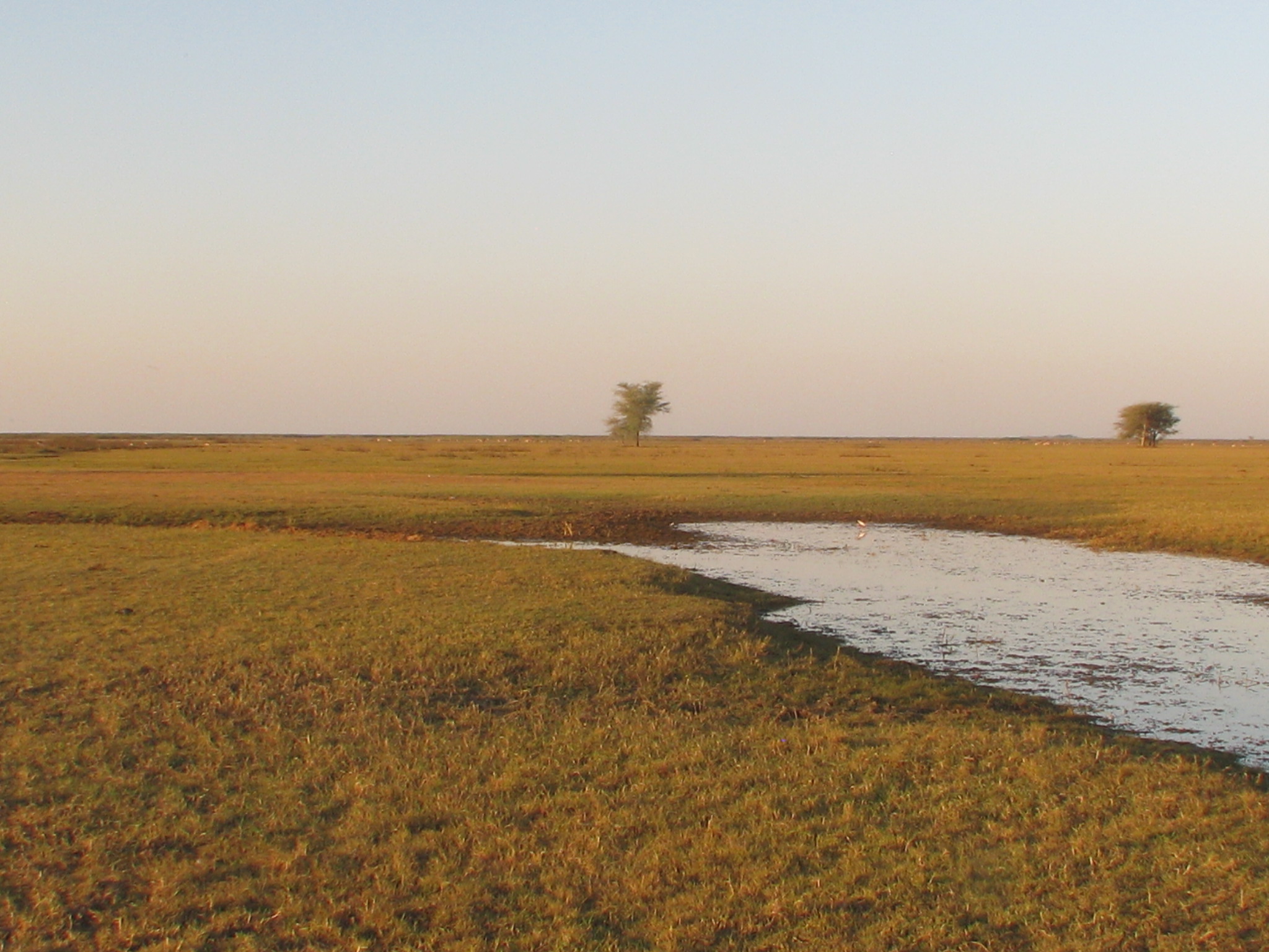 July 24 Lochinvar National Park Overland Travel With KMcGee