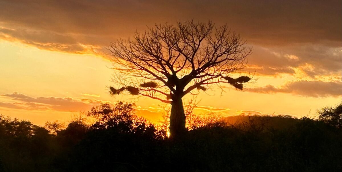 Overland Travel With KMcGee