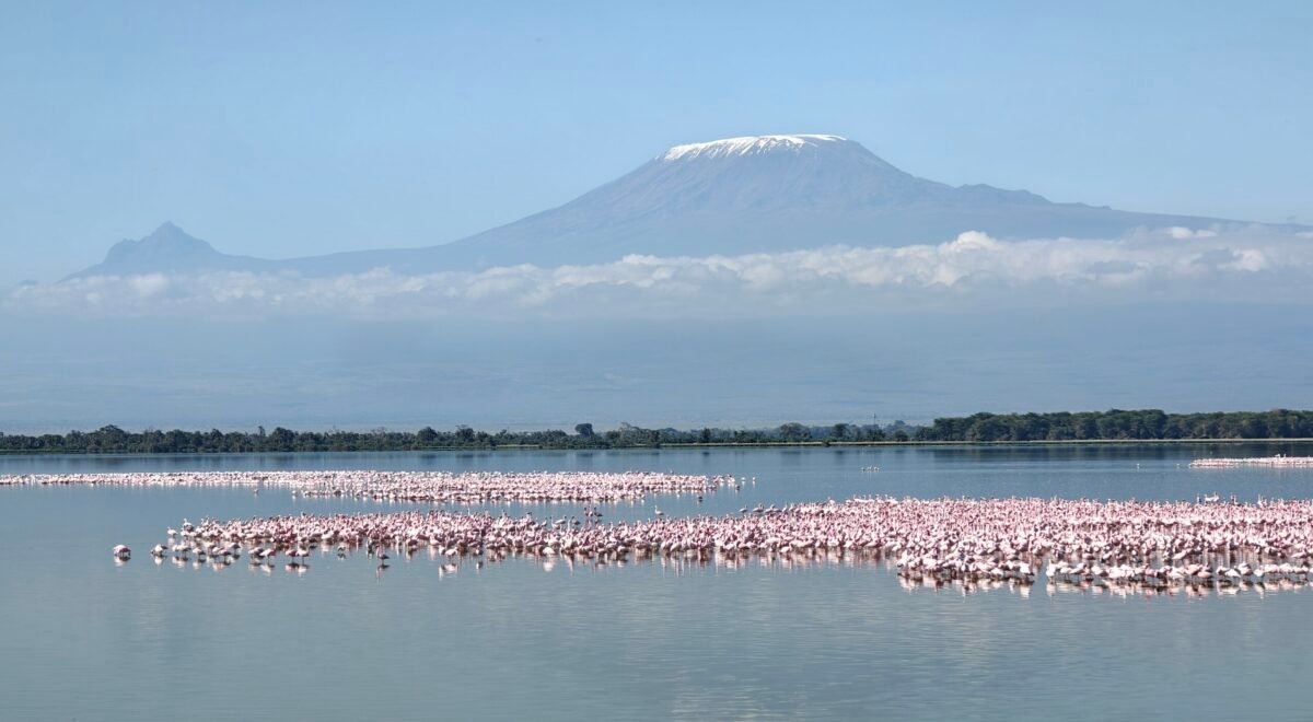 Overland Travel With KMcGee