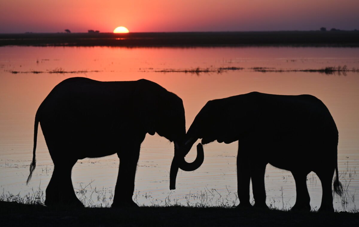 Overland Travel With KMcGee